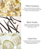 Close up of the warm gourmand Victoria's Secret Tease fragrance packaging indicating the scent notes.