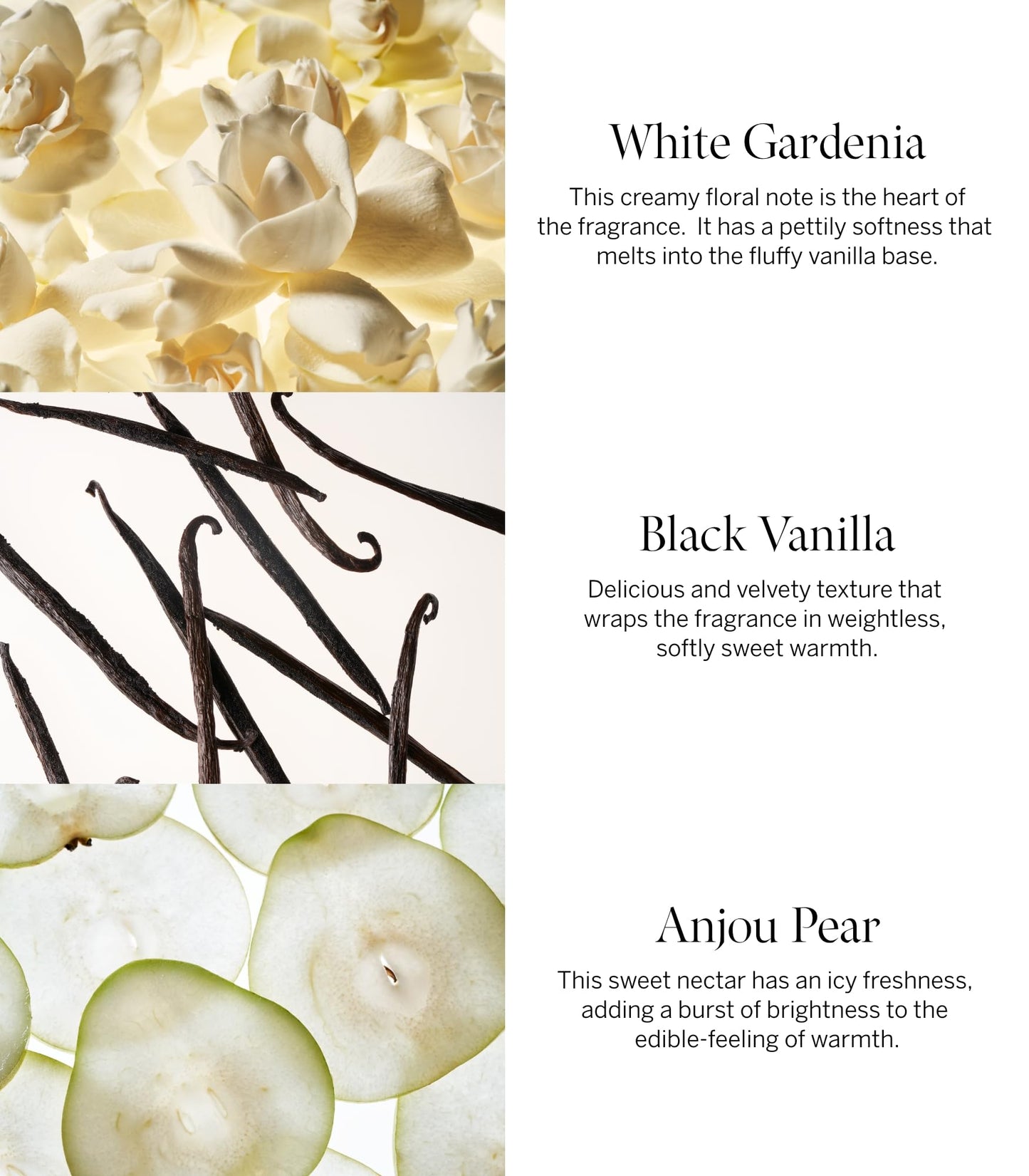 Close up of the warm gourmand Victoria's Secret Tease fragrance packaging indicating the scent notes.