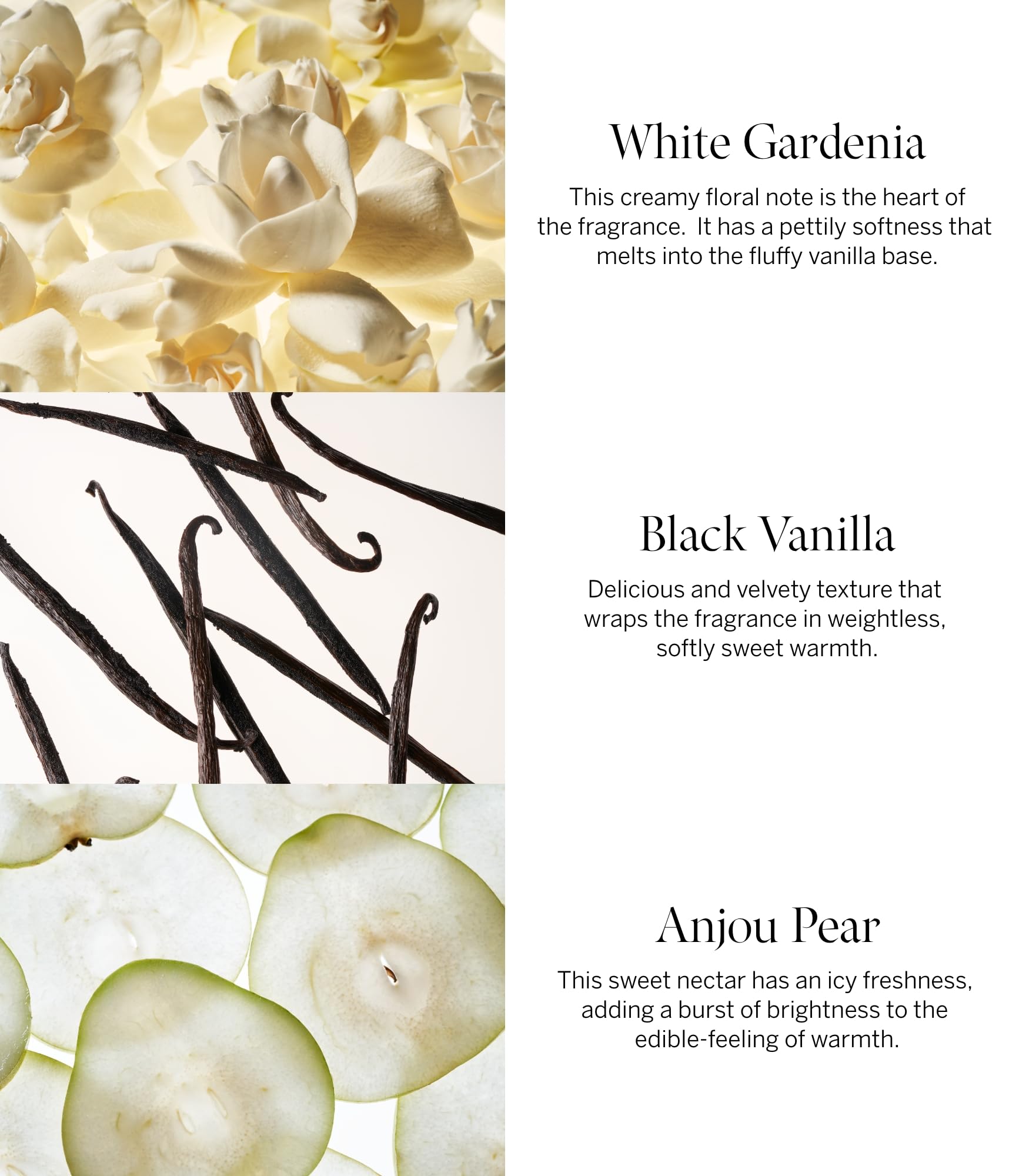 Close up of the warm gourmand Victoria's Secret Tease fragrance packaging indicating the scent notes.