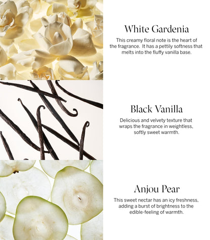 Close up of the warm gourmand Victoria's Secret Tease fragrance packaging indicating the scent notes.