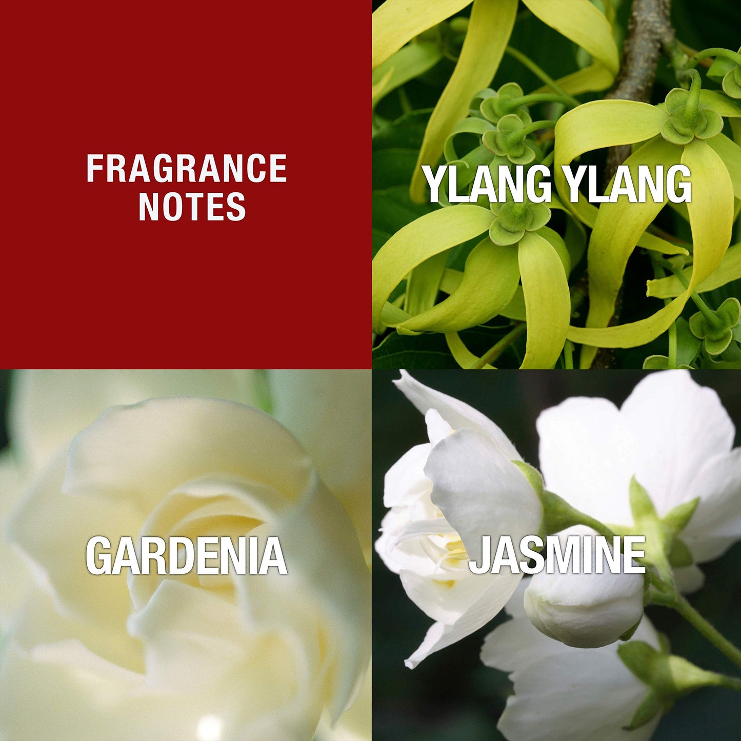 Imported USA beauty Paul Sebastian Design perfume luxury packaging box and bottle setup