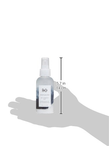 R+Co vegan and cruelty free dry shampoo mist bottle standing upright against a clean background