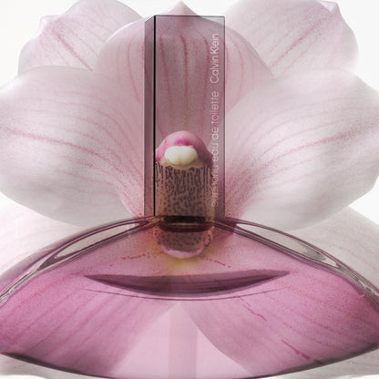 Calvin Klein ambery gourmand perfume for women close up