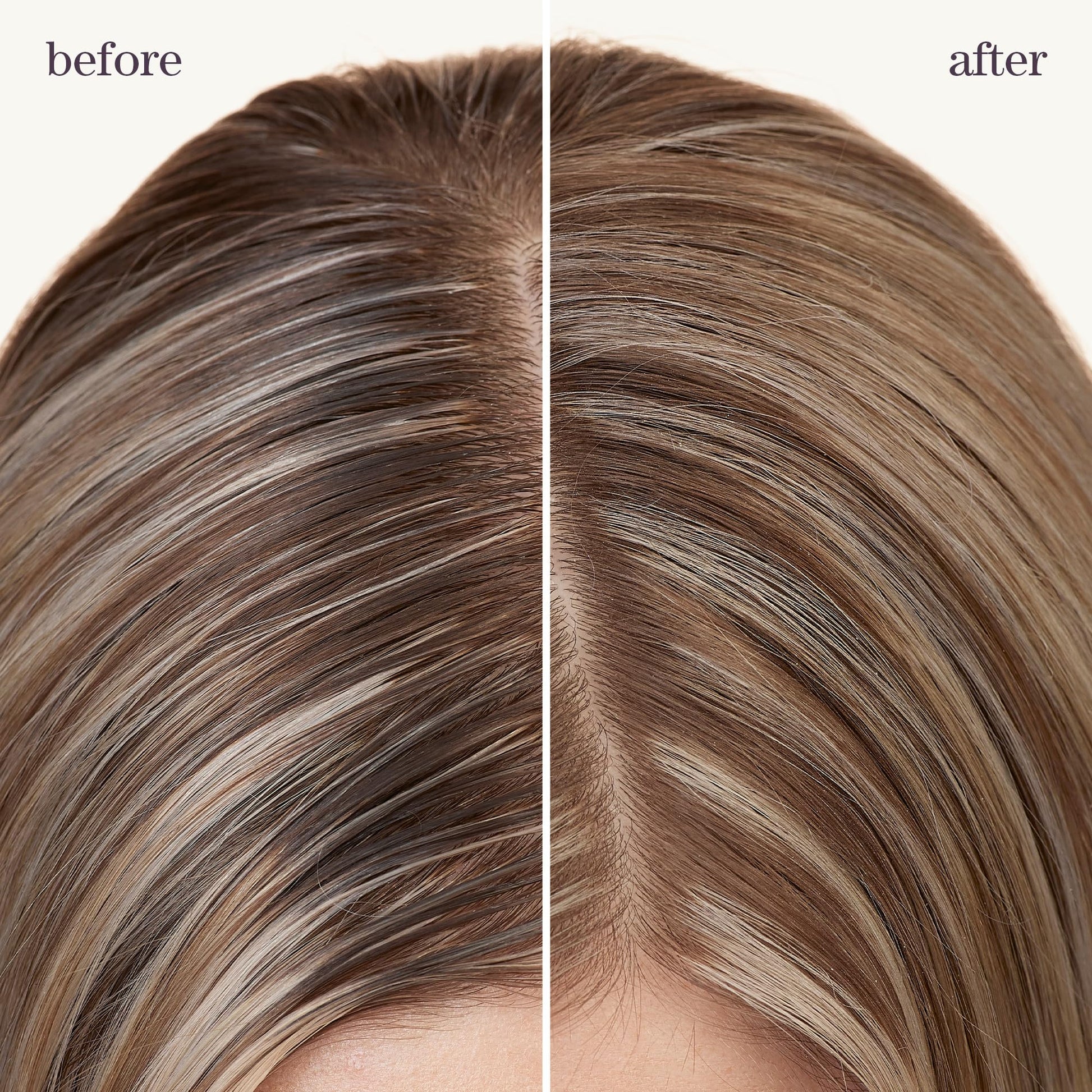 Pureology vegan oil absorbing dry spray ingredient list close up