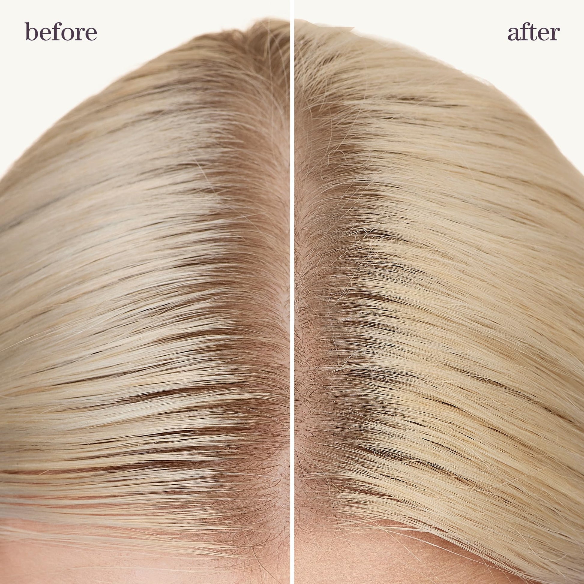 Pureology professional grade volume boosting dry shampoo aerosol top
