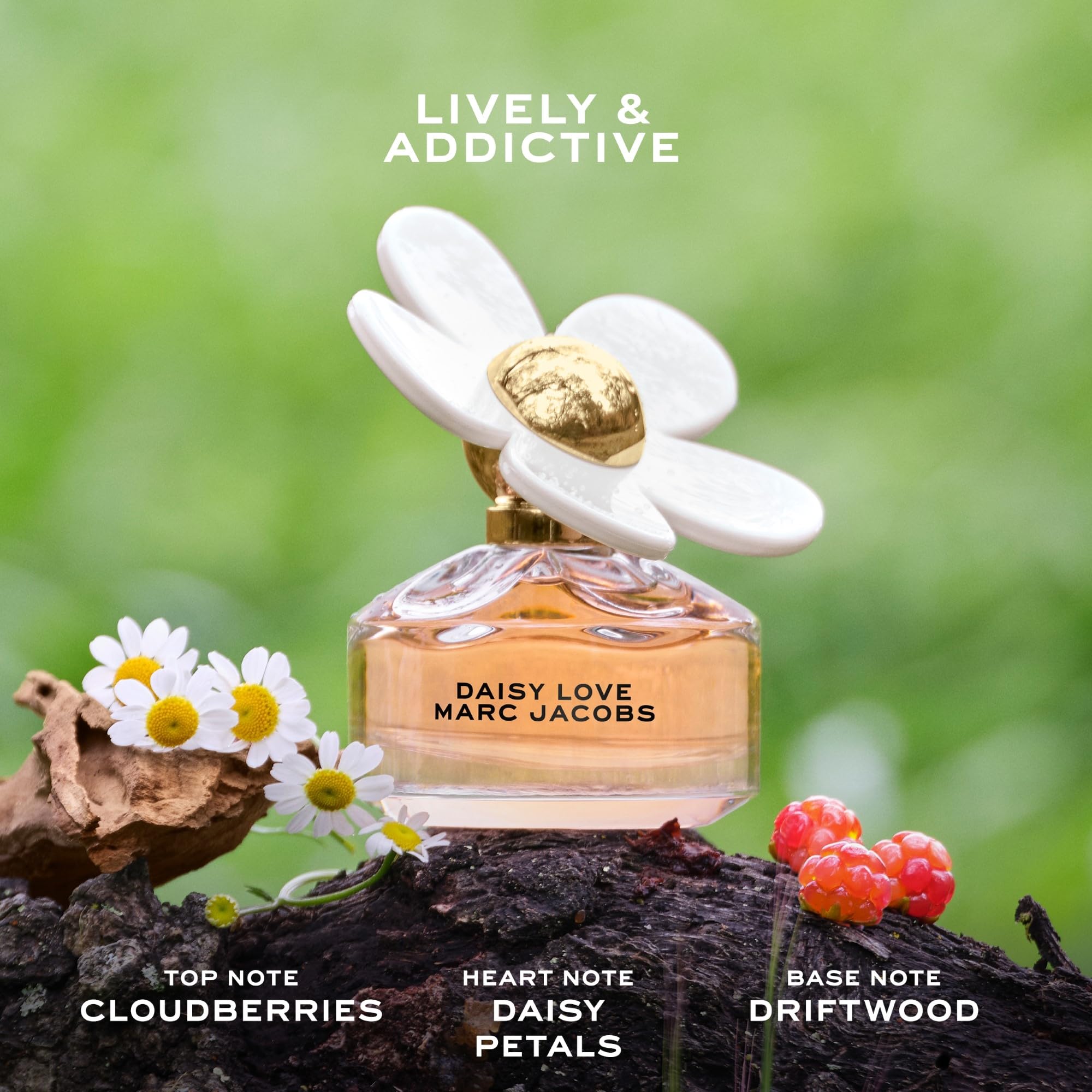 Close up of Marc Jacobs Daisy Love fragrance packaging