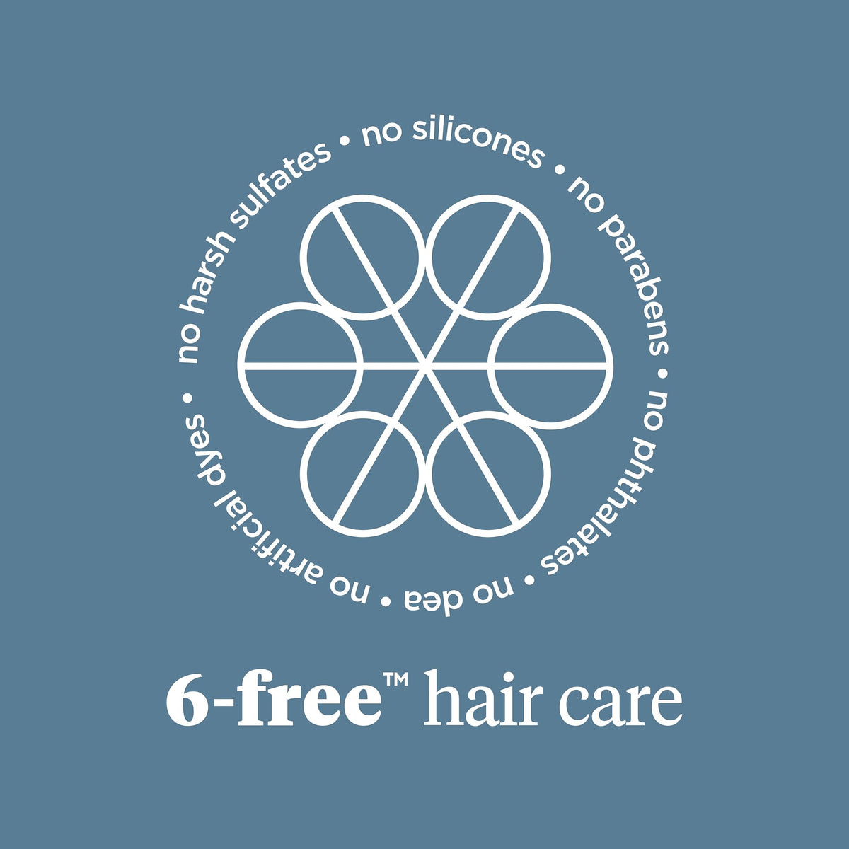 Briogeo Scalp Revival Charcoal and Biotin premium packaging for imported personal care
