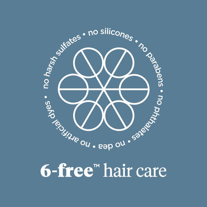 Briogeo Scalp Revival Charcoal and Biotin premium packaging for imported personal care