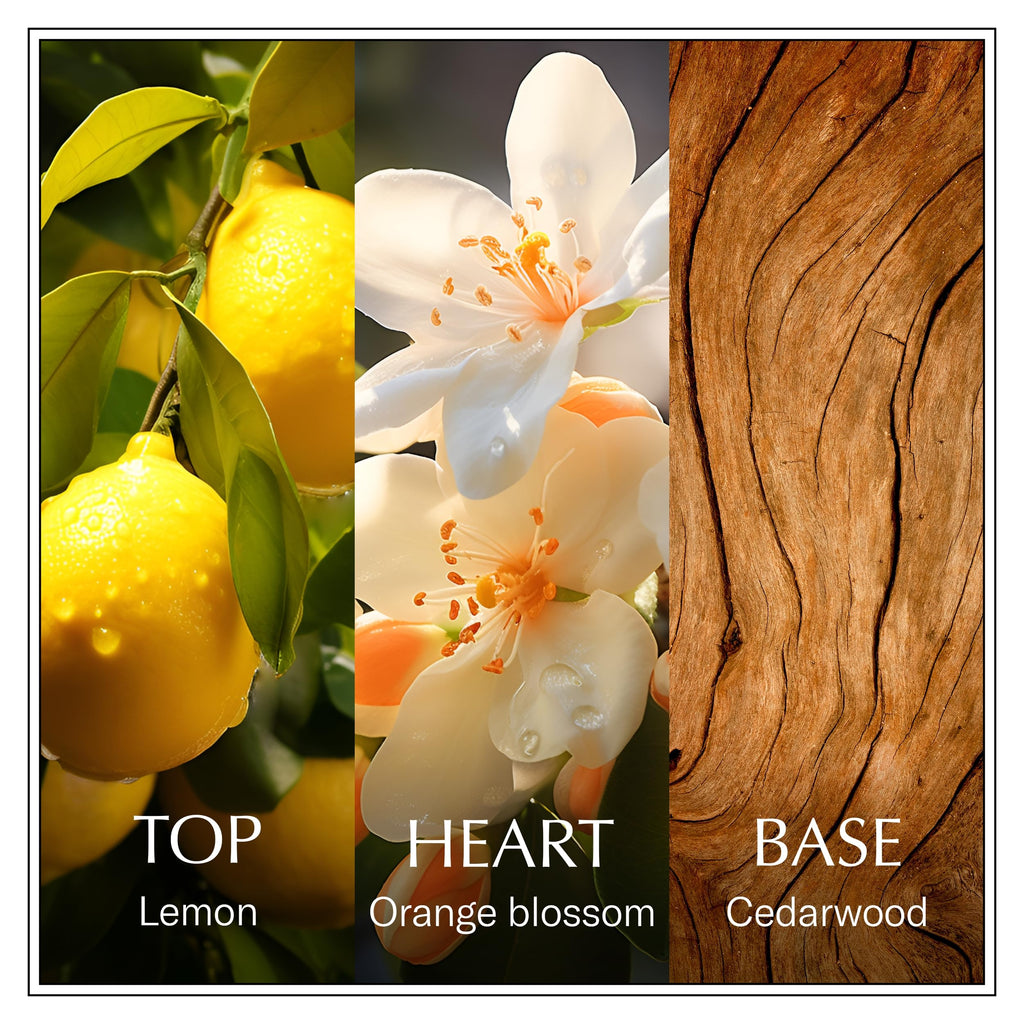 Chanson DEau Sicilian summer inspired everyday fragrance display