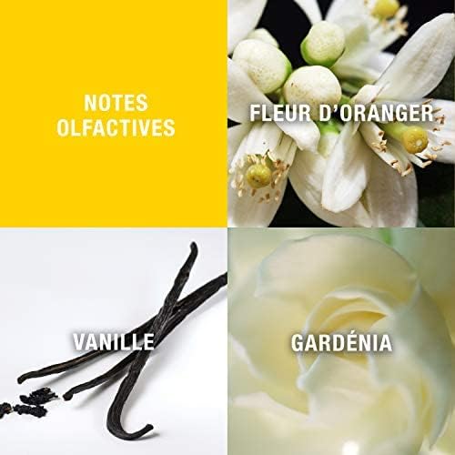 Luxury floral fragrance by Giorgio Beverly Hills for women