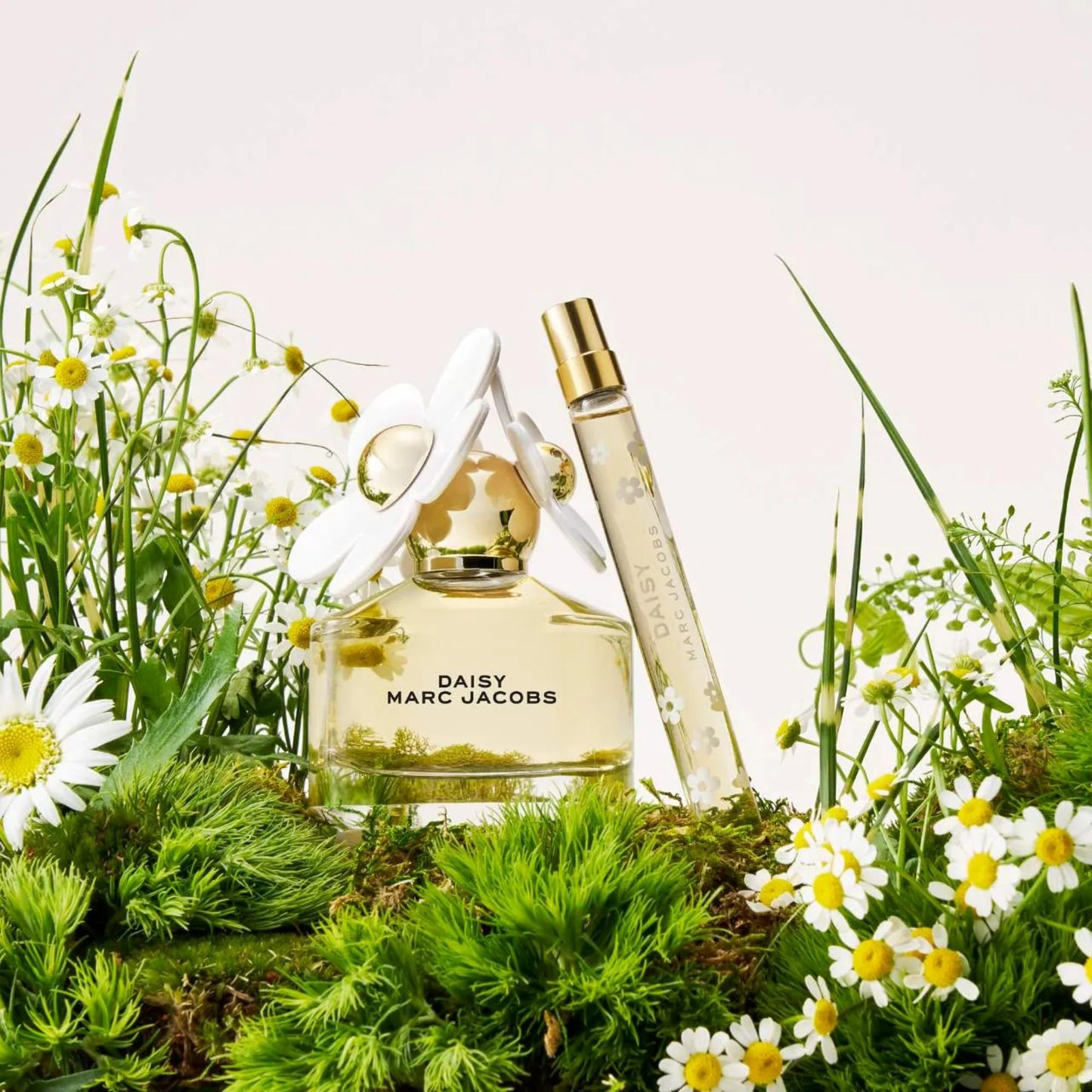 Marc Jacobs Daisy Eau De Toilette gift box packaging