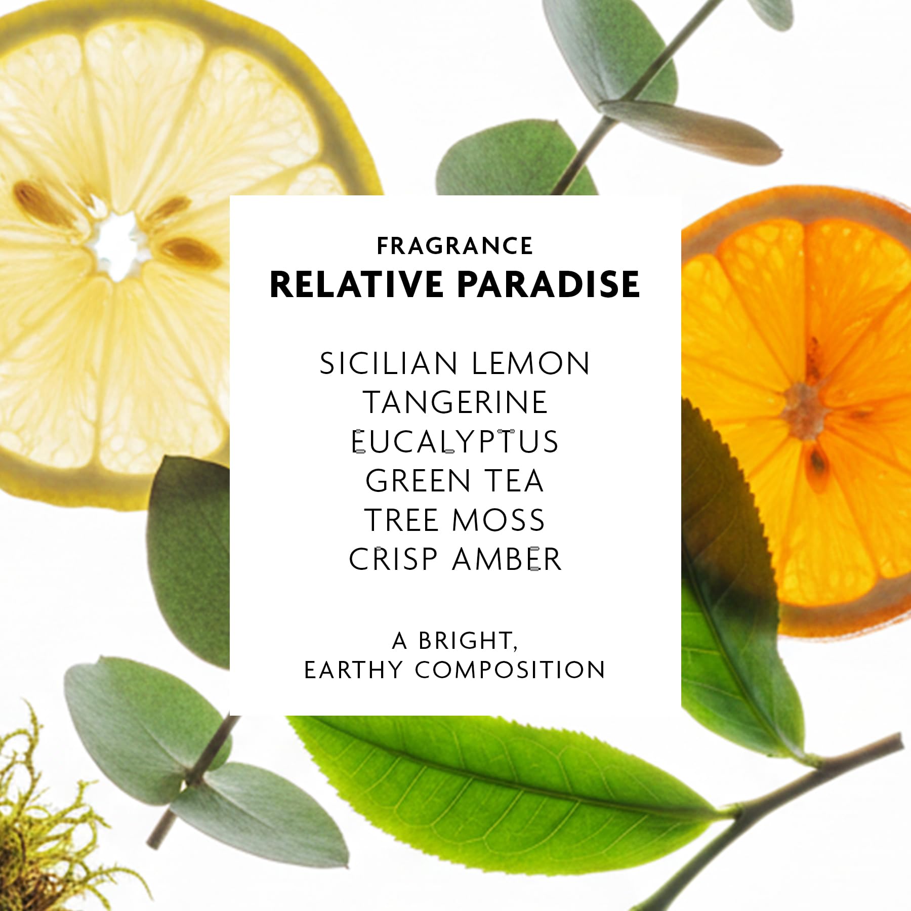 R+Co Badlands second-day hair texture paste ingredients overview