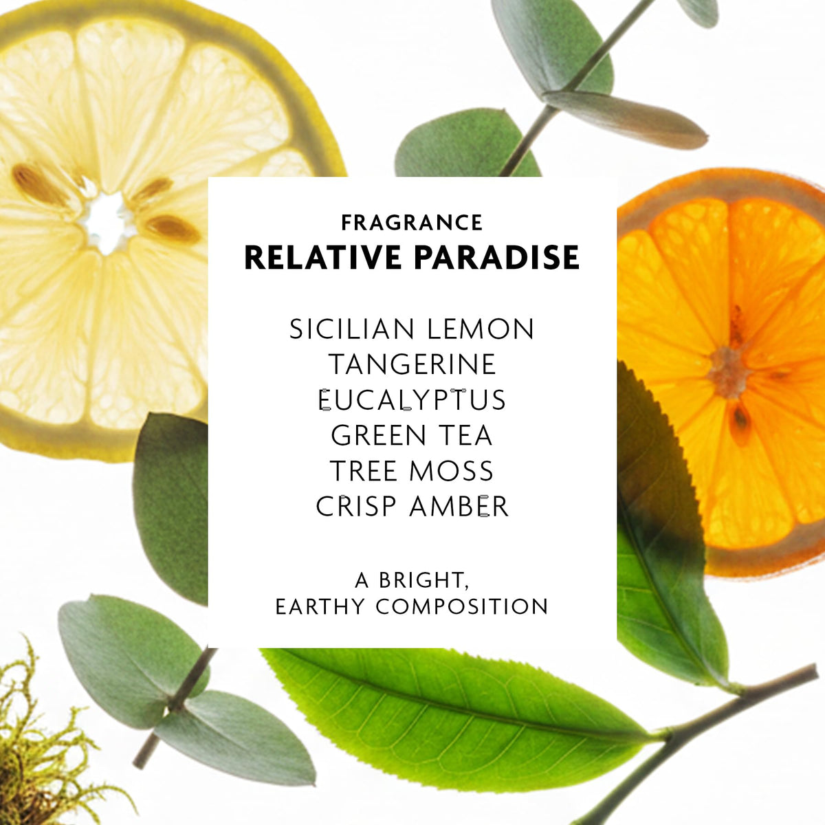 R+Co Badlands Dry Shampoo Paste professional salon display