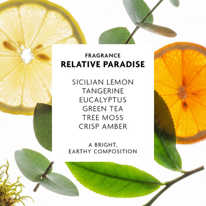 R+Co Badlands second-day hair texture paste ingredients overview