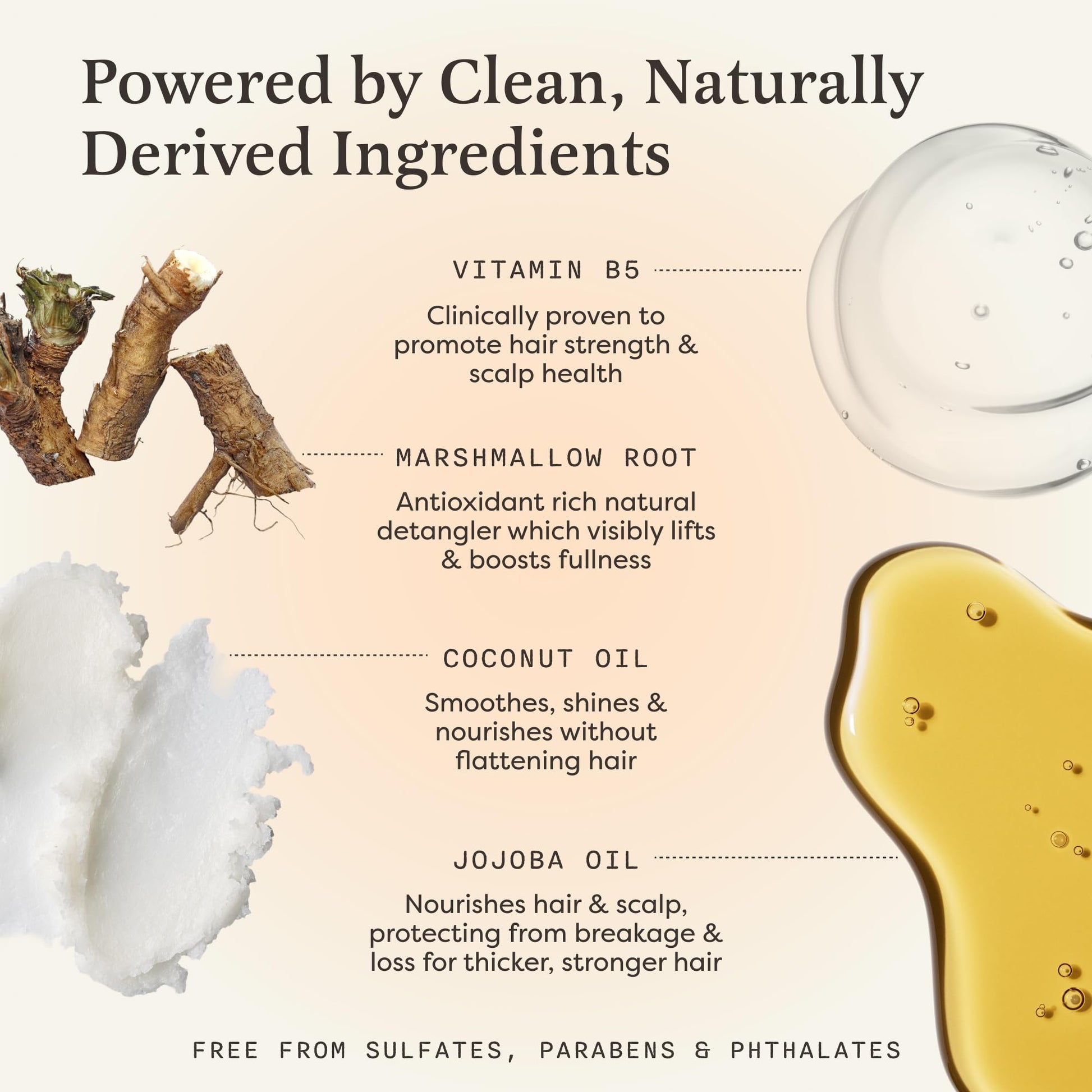Vanilla coconut scented solid shampoo and conditioner set for promoting hair growth and thickness.