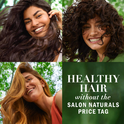 Paraben free color safe Moroccan argan oil shampoo and conditioner bottles