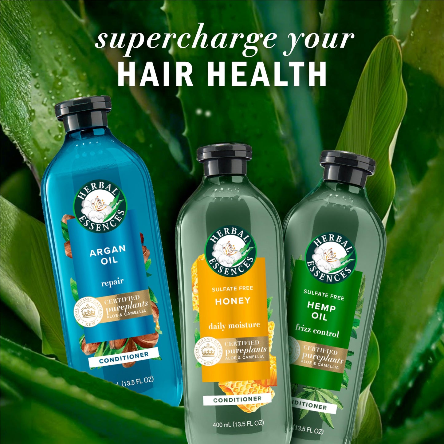 Moroccan argan oil moisturizing and smoothing hair product set close up