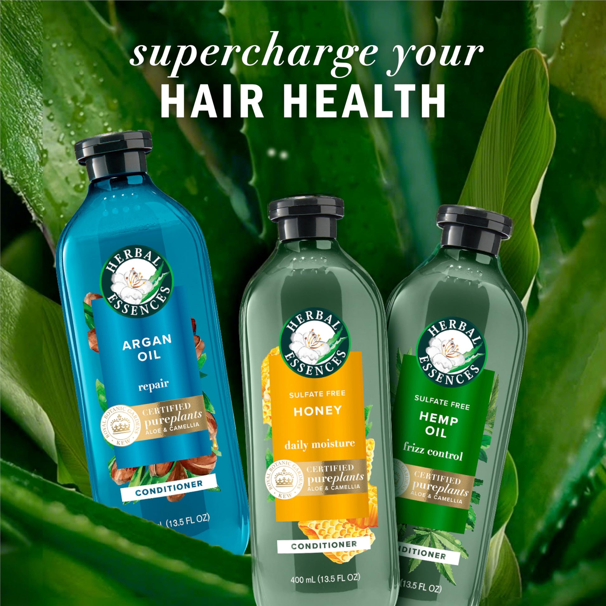Moroccan argan oil moisturizing and smoothing hair product set close up