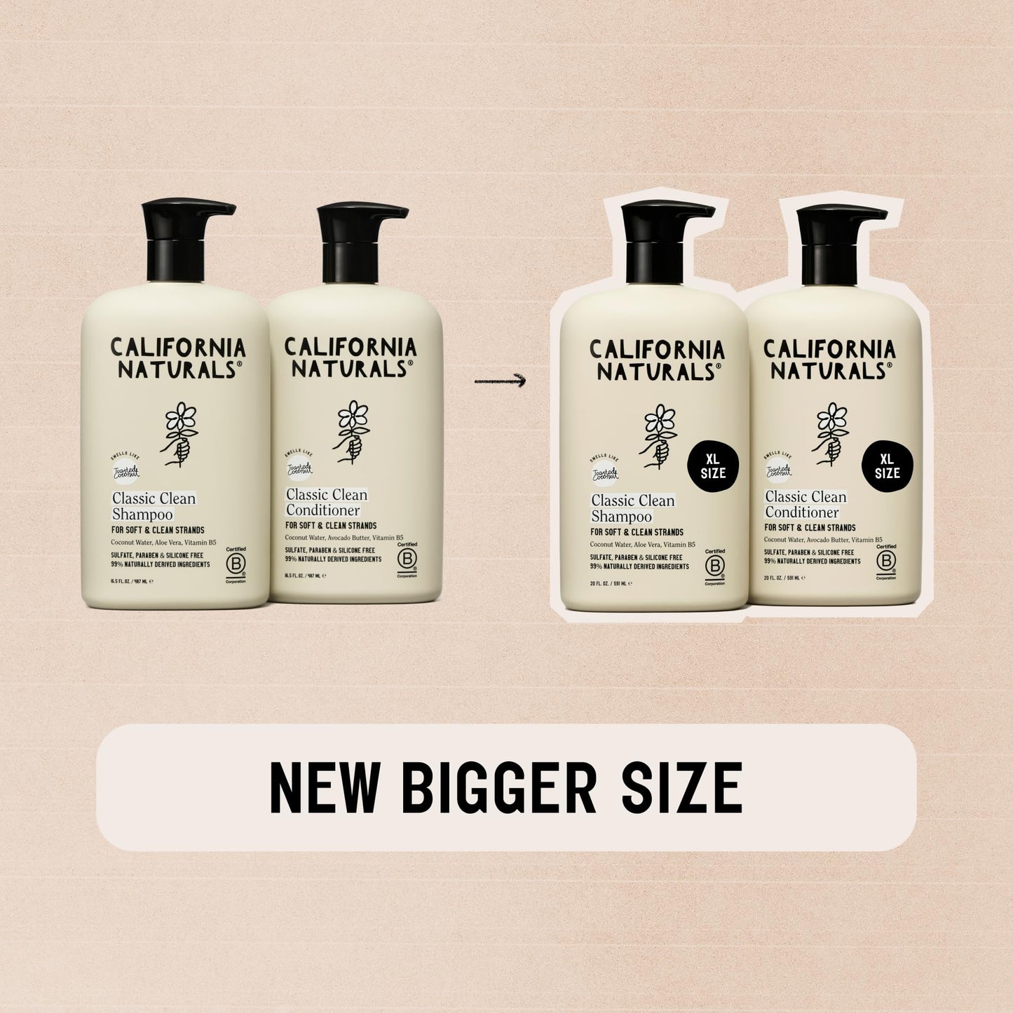 Clean beauty imported daily hair care set with avocado and aloe vera ingredients
