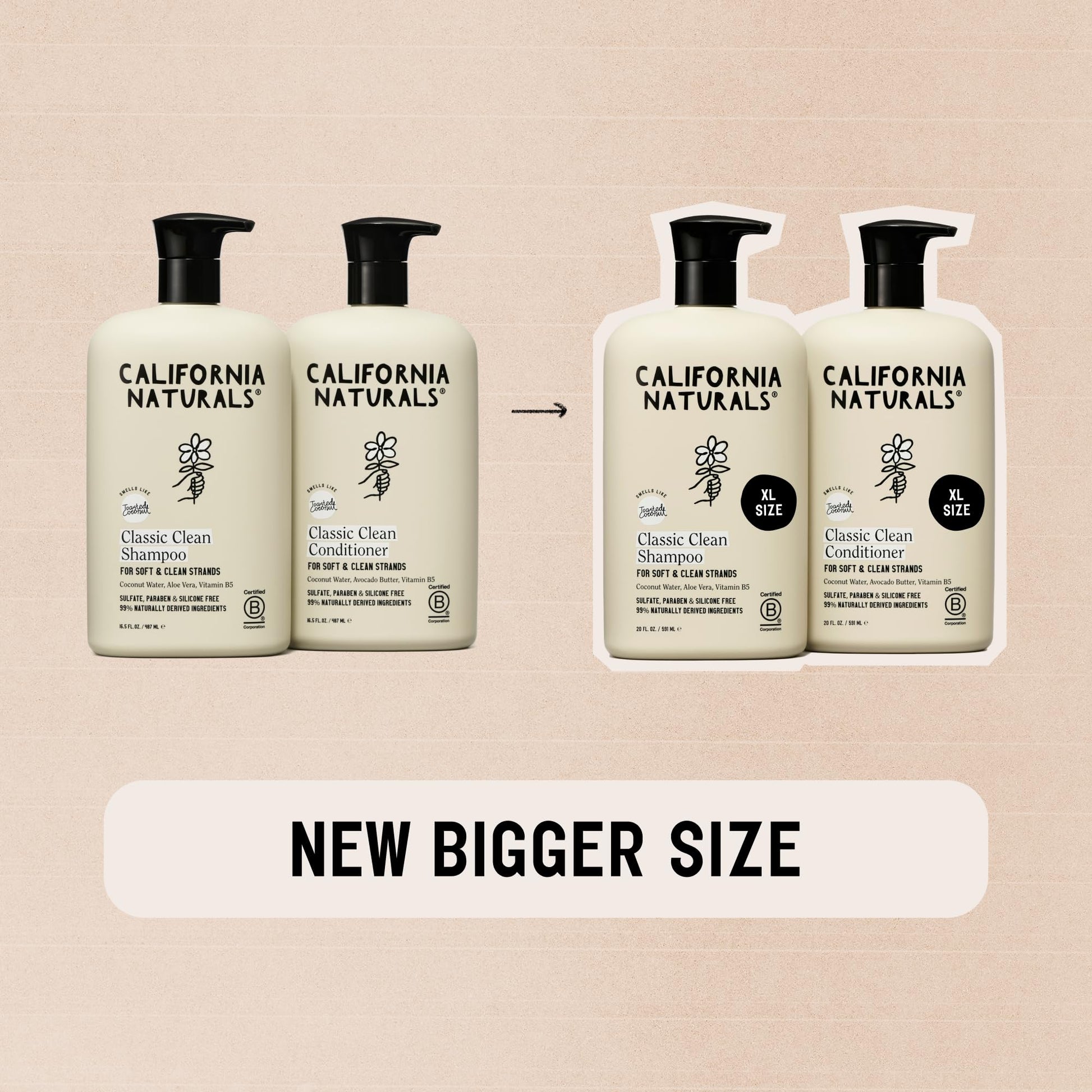 Clean beauty imported daily hair care set with avocado and aloe vera ingredients