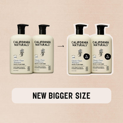 Clean beauty imported daily hair care set with avocado and aloe vera ingredients