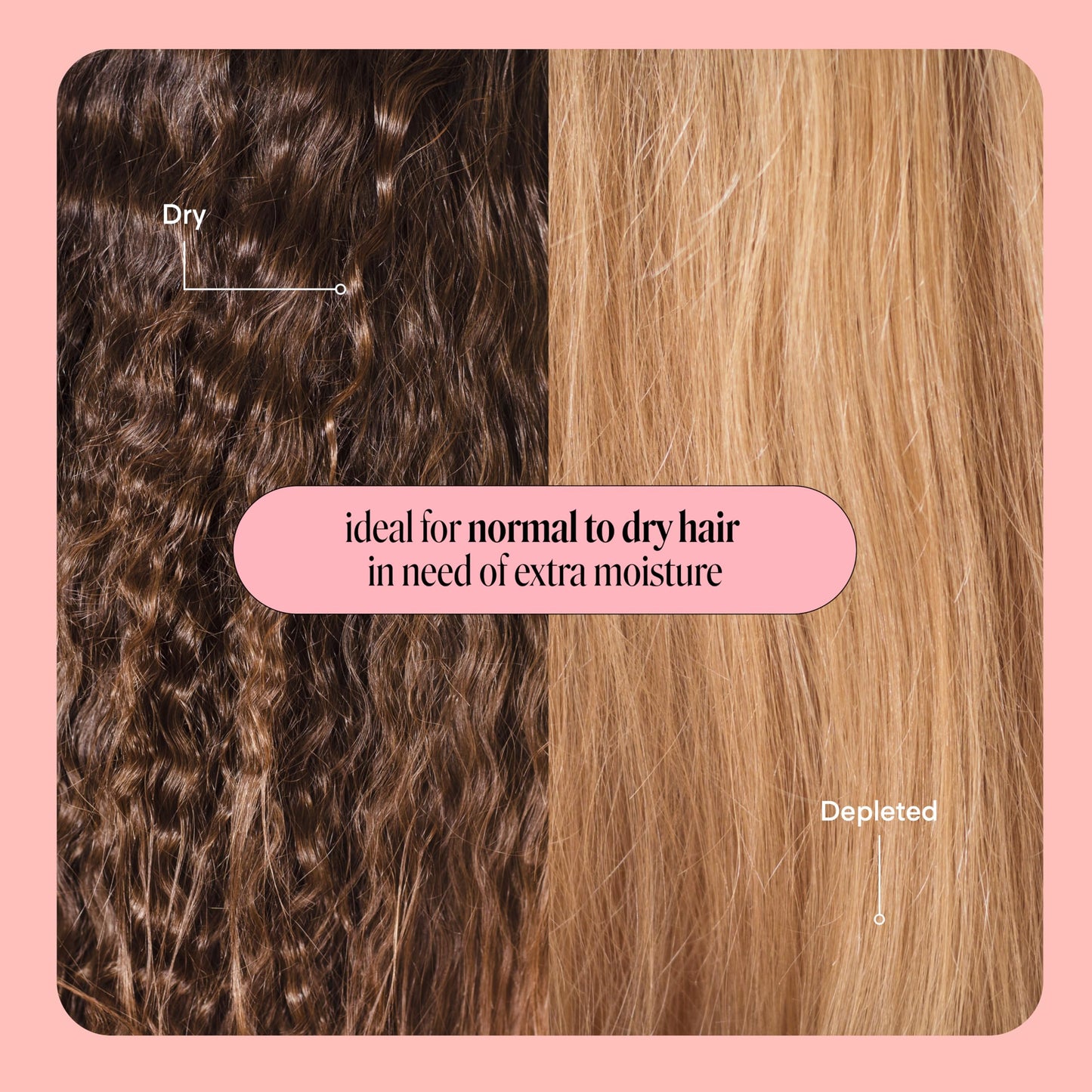 Dermatologically tested Monday Haircare Moisture shampoo and conditioner pack of two