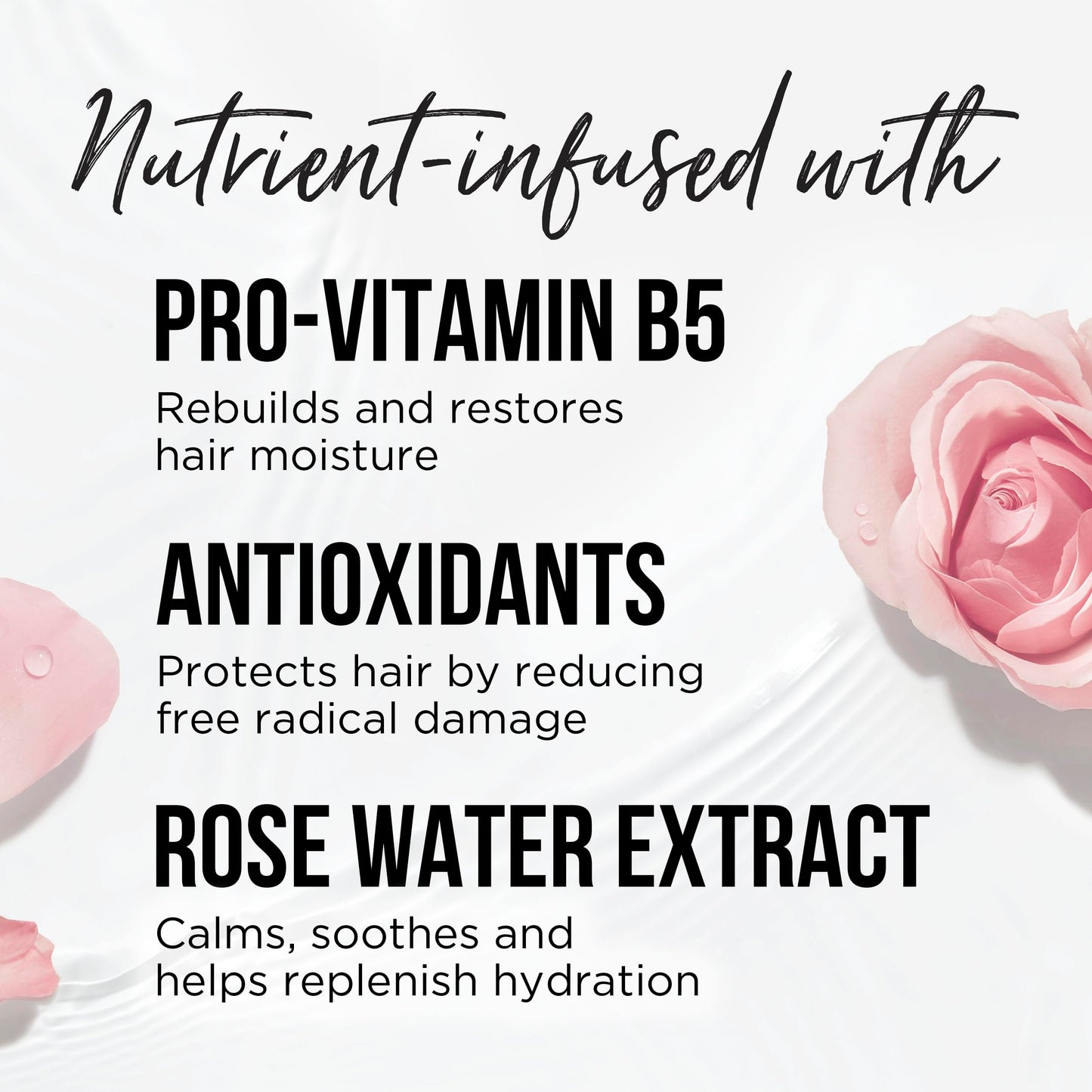 Pantene USA imported Rose Water moisturizing shampoo pack on white background