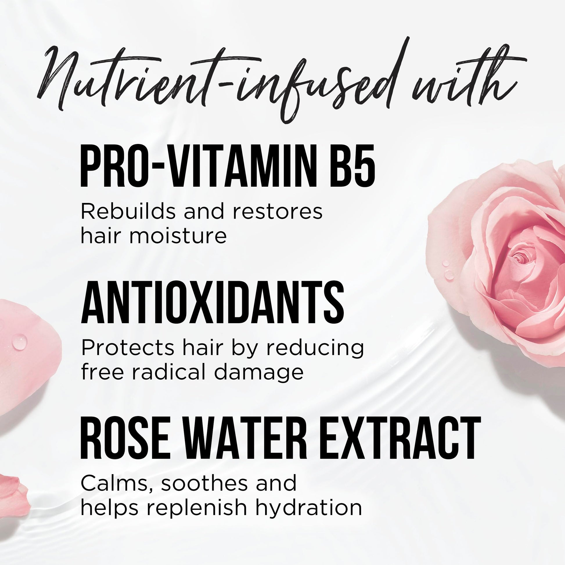 Pantene USA imported Rose Water moisturizing shampoo pack on white background
