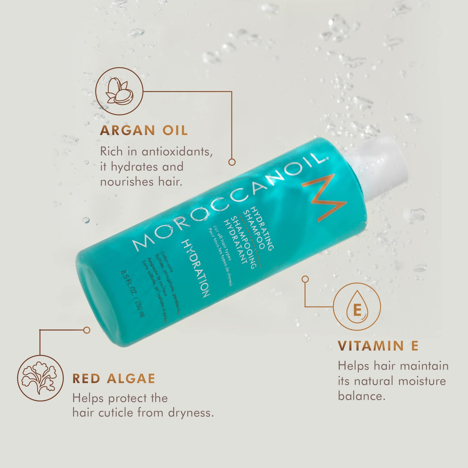 Moroccanoil Hydrating Shampoo bottle close up showing argan oil formula text