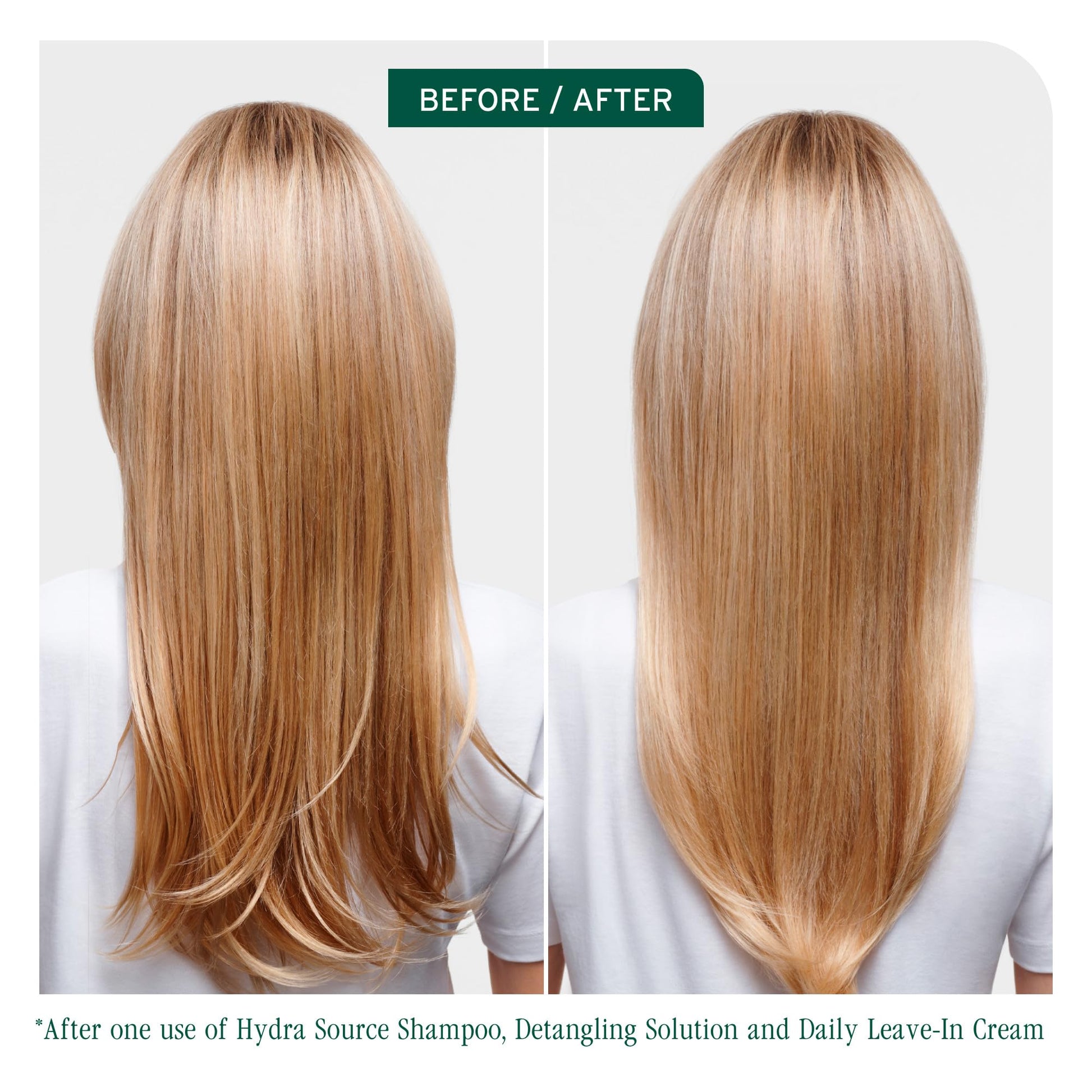 Back label view of Biolage Hydra Source paraben free shampoo showing usage instructions