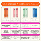 Amika Normcore Signature Shampoo ingredient highlight