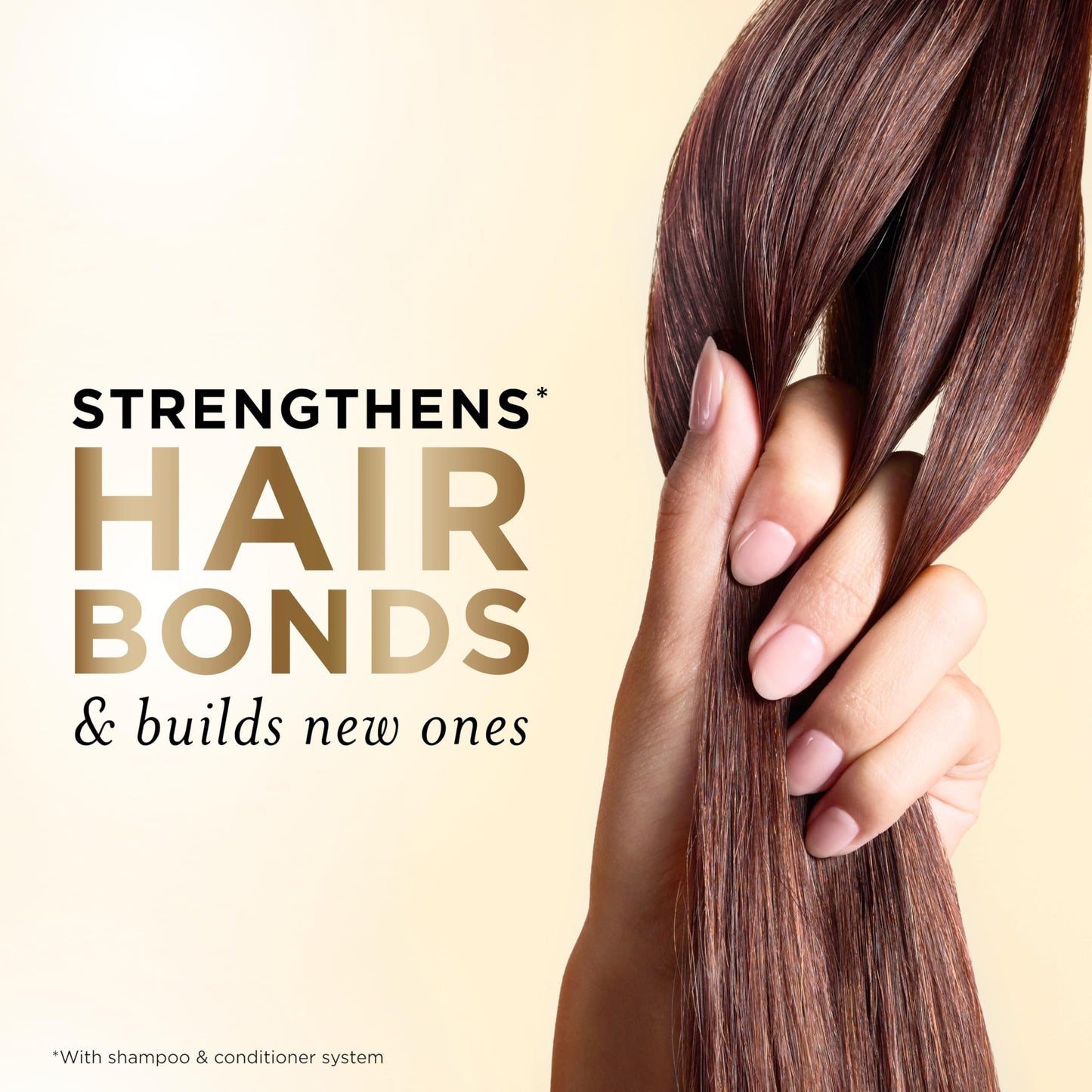 Imported USA Pantene moisture renewal shampoo bottle close up on ingredients