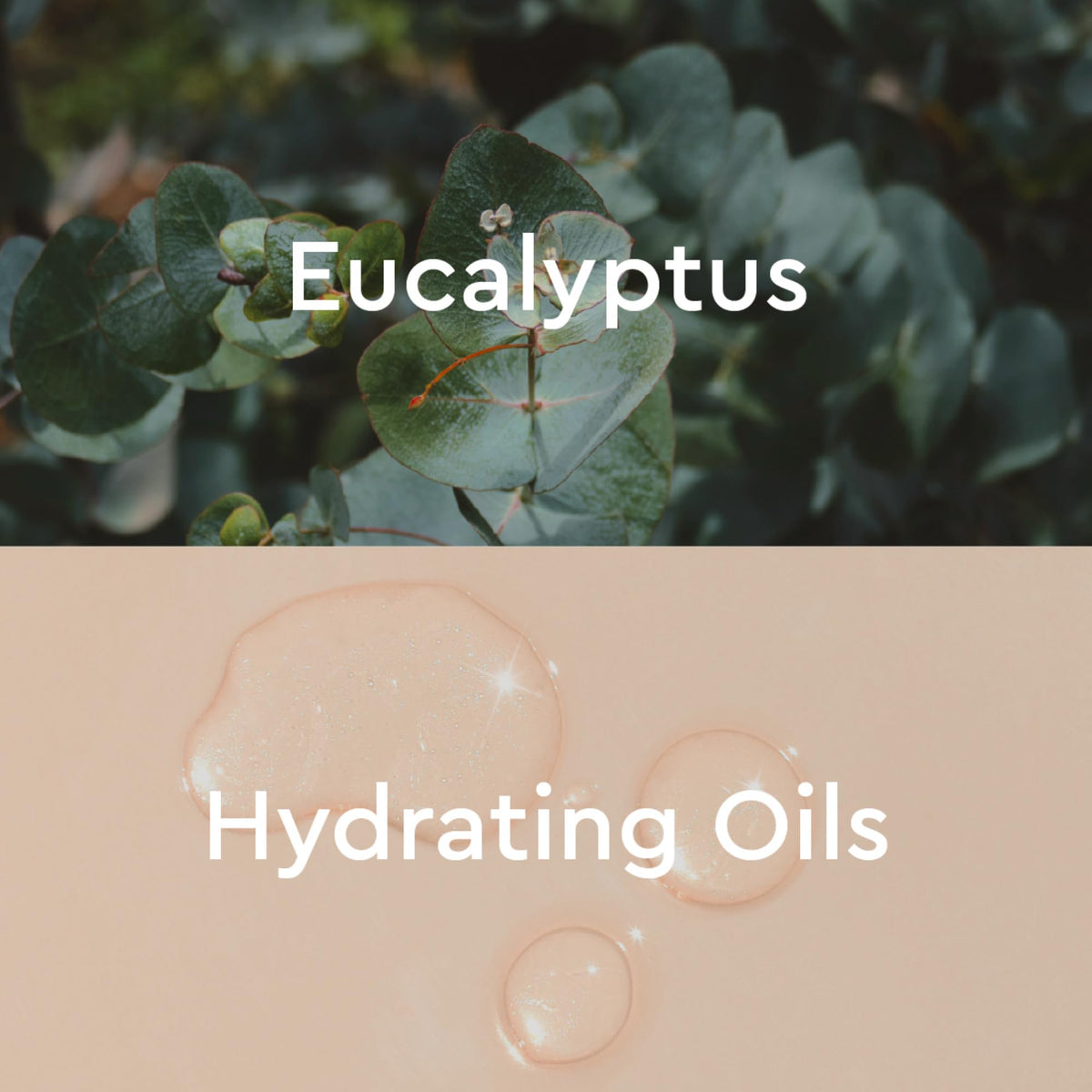 Back label of Kneipp eucalyptus bath oil showing ingredients and directions