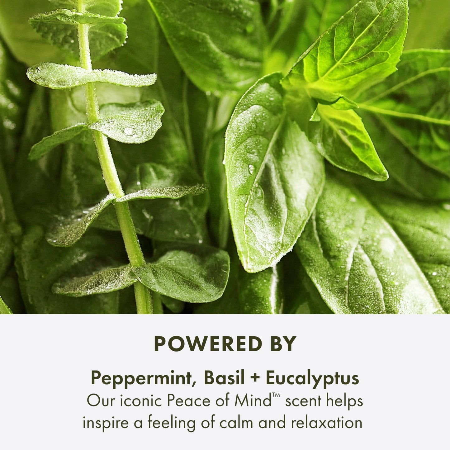 Origins peppermint and eucalyptus essential oil bath soak bottle