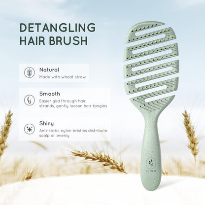 Ecoed detangling brush bristles for curly and straight hair