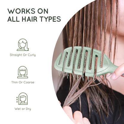 Ecoed detangler brush packaging and product display