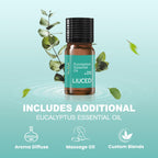 Fourteen pieces of eucalyptus shower bombs arranged with the five milliliter essential oil bottle