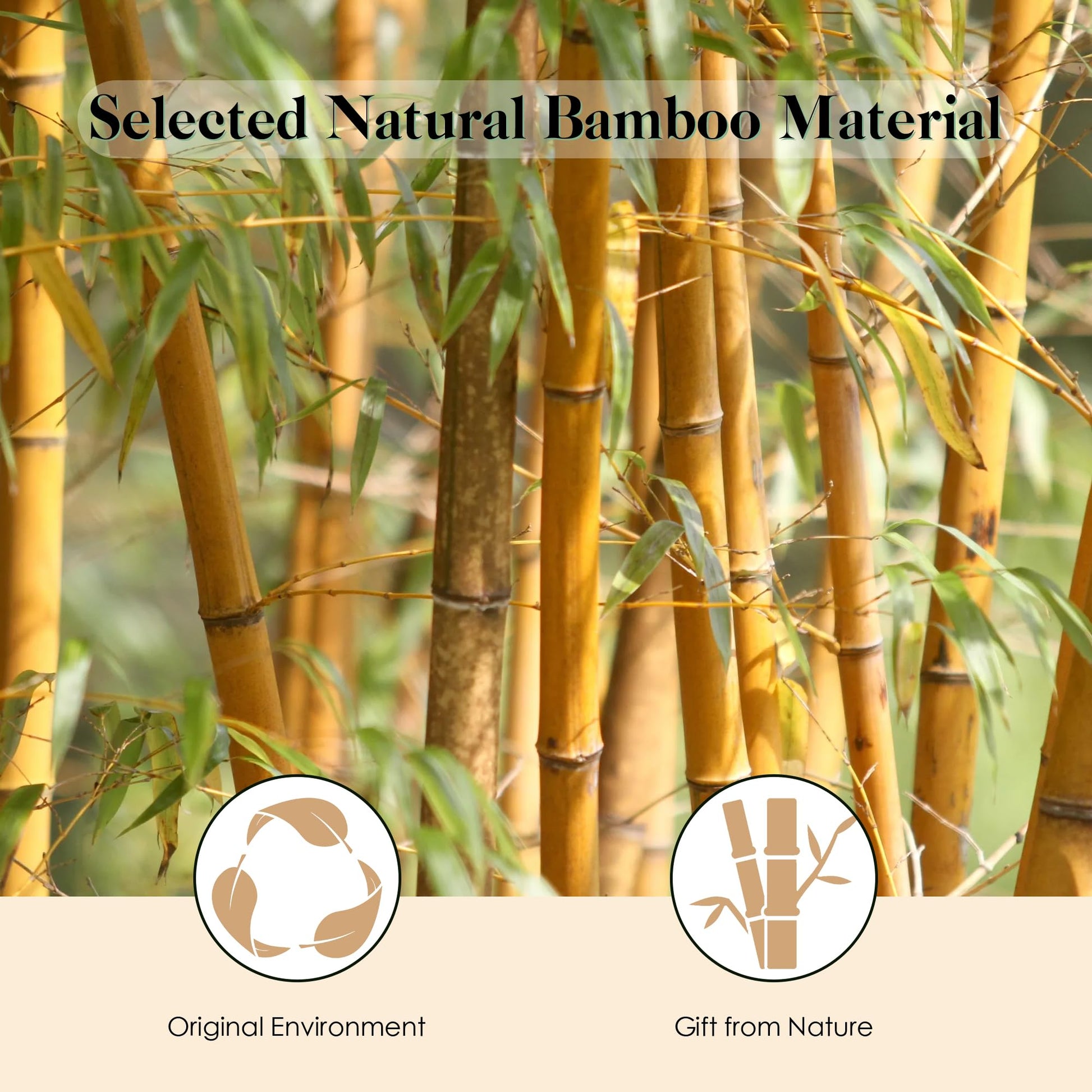 Gainwell bamboo brush air cushion design