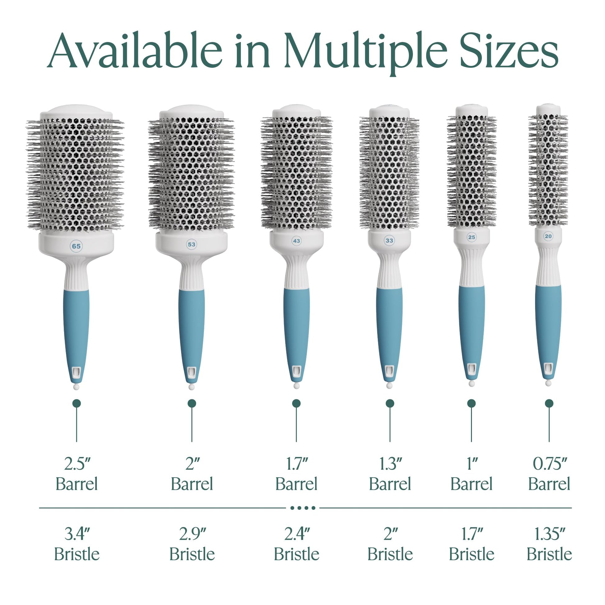 Osensia round hair brush isolated on white background for online shopping