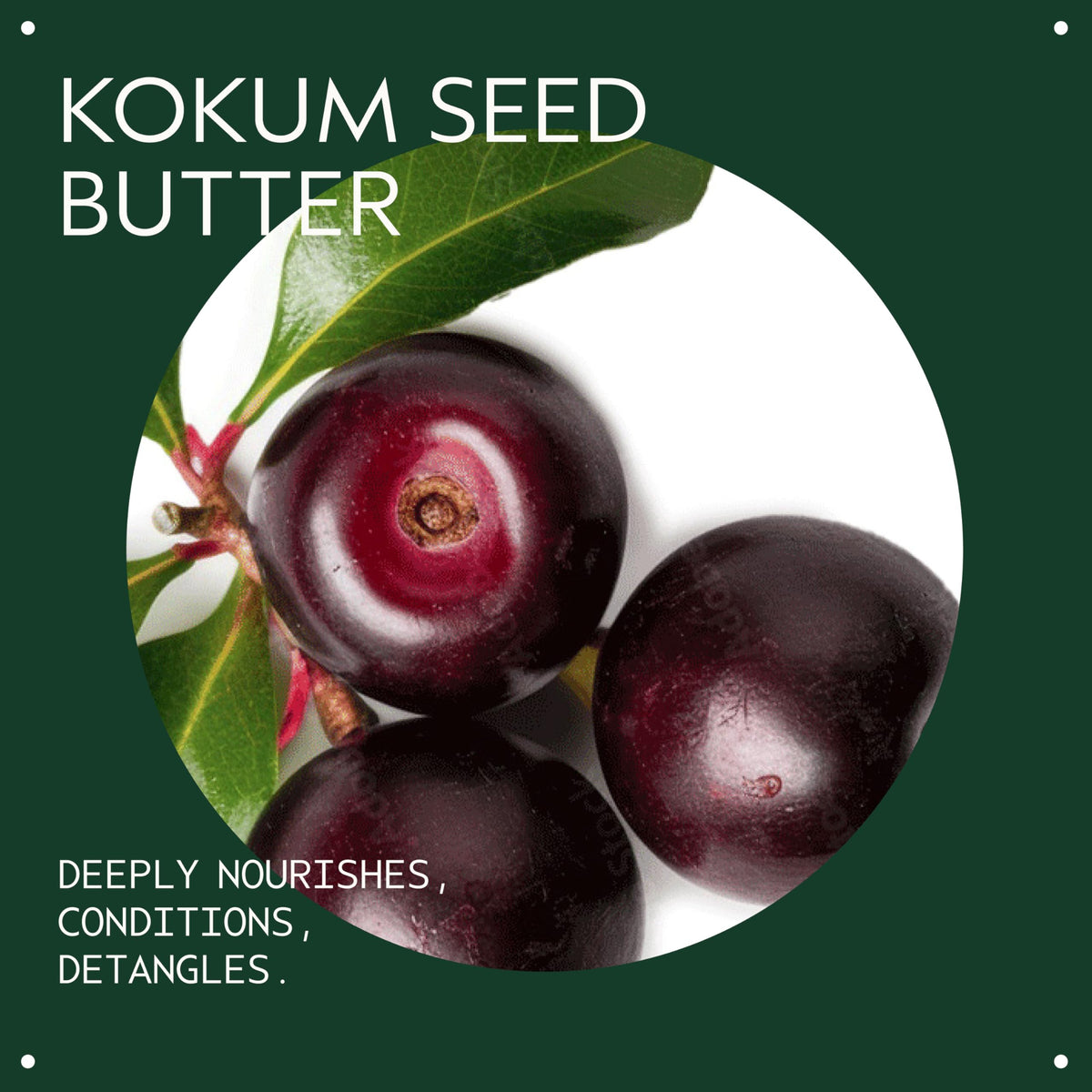 Aveda plant peptide and kokum seed butter curl definer product tube