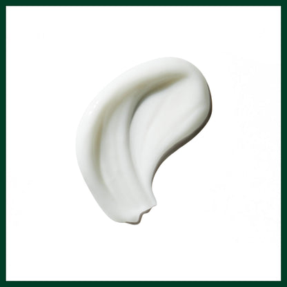Aveda hydrating citrus aroma curl cream texture close up