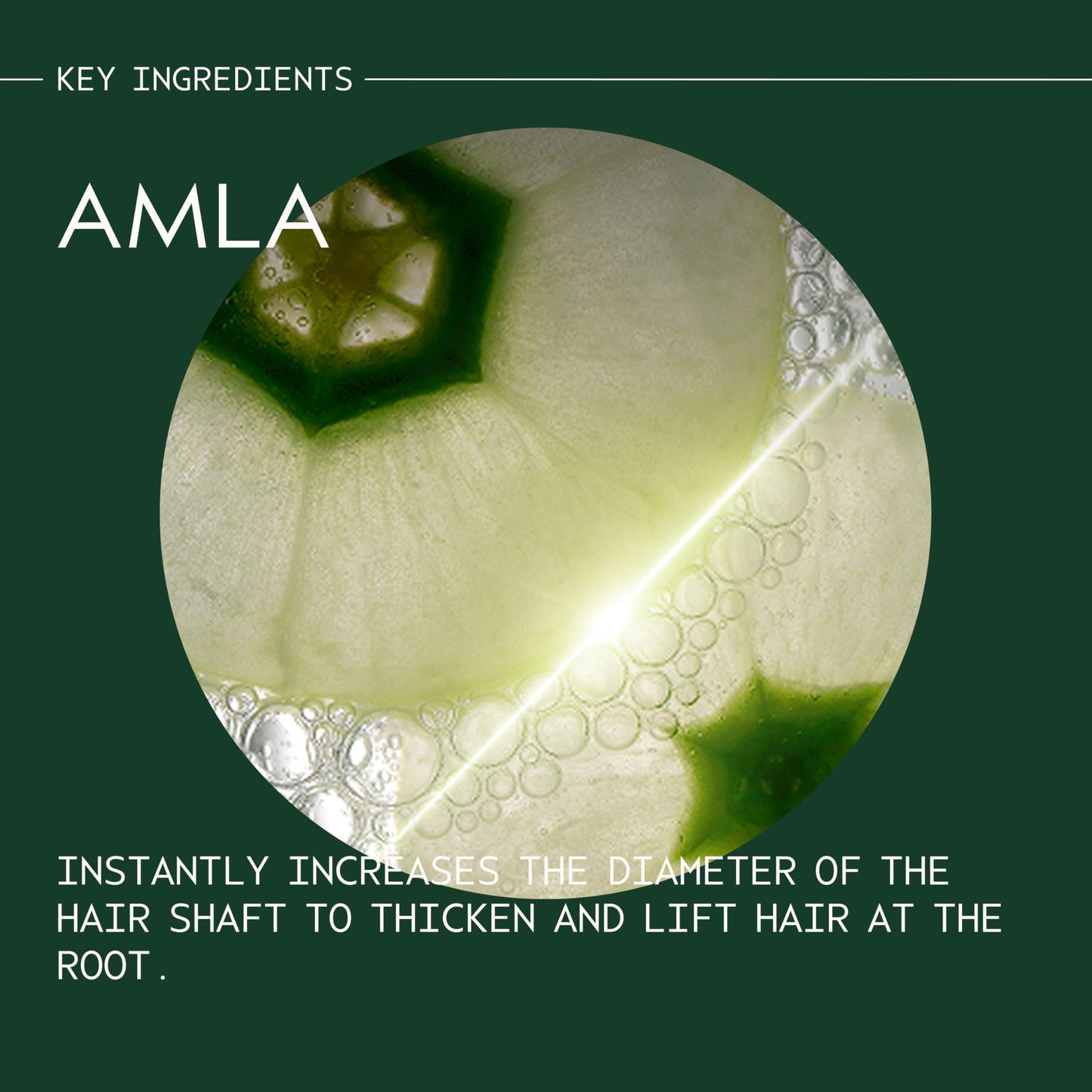 Aveda plant powered hair thickening formula packaging