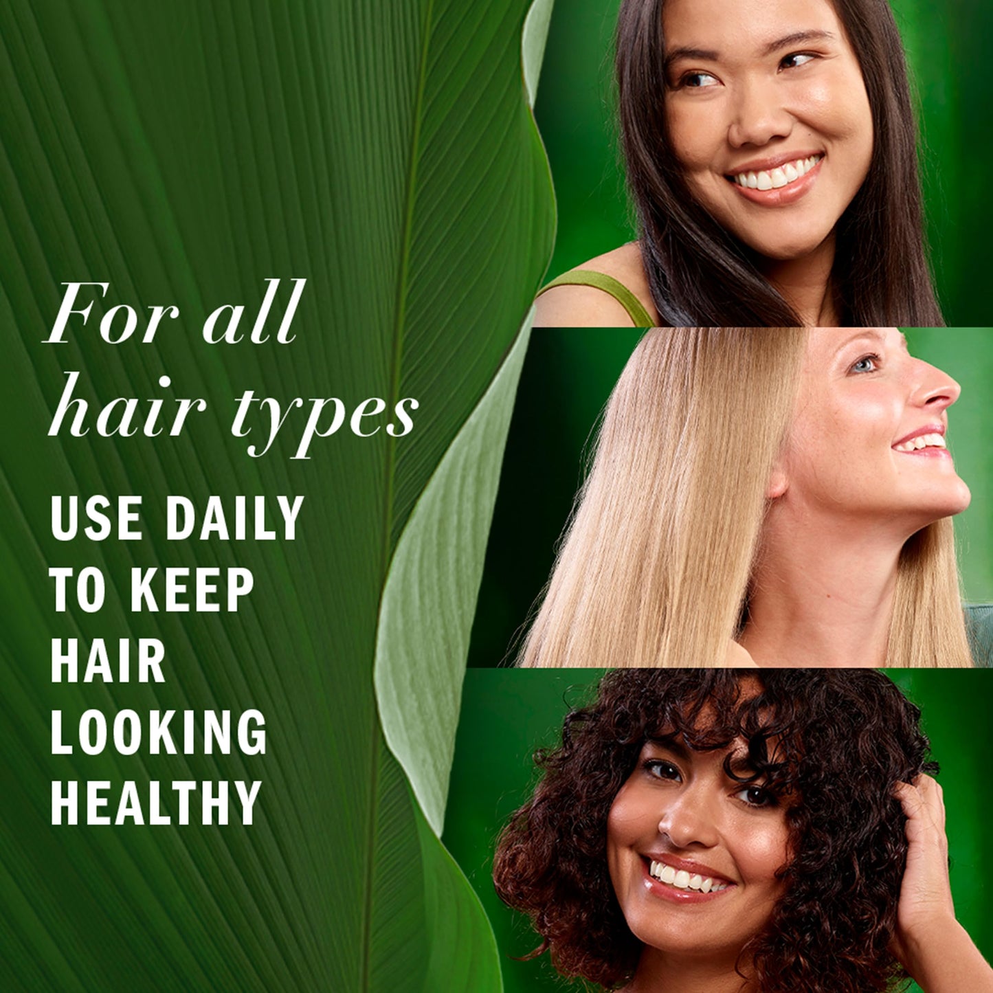 Sulfate free and paraben free daily hair smoothing oil