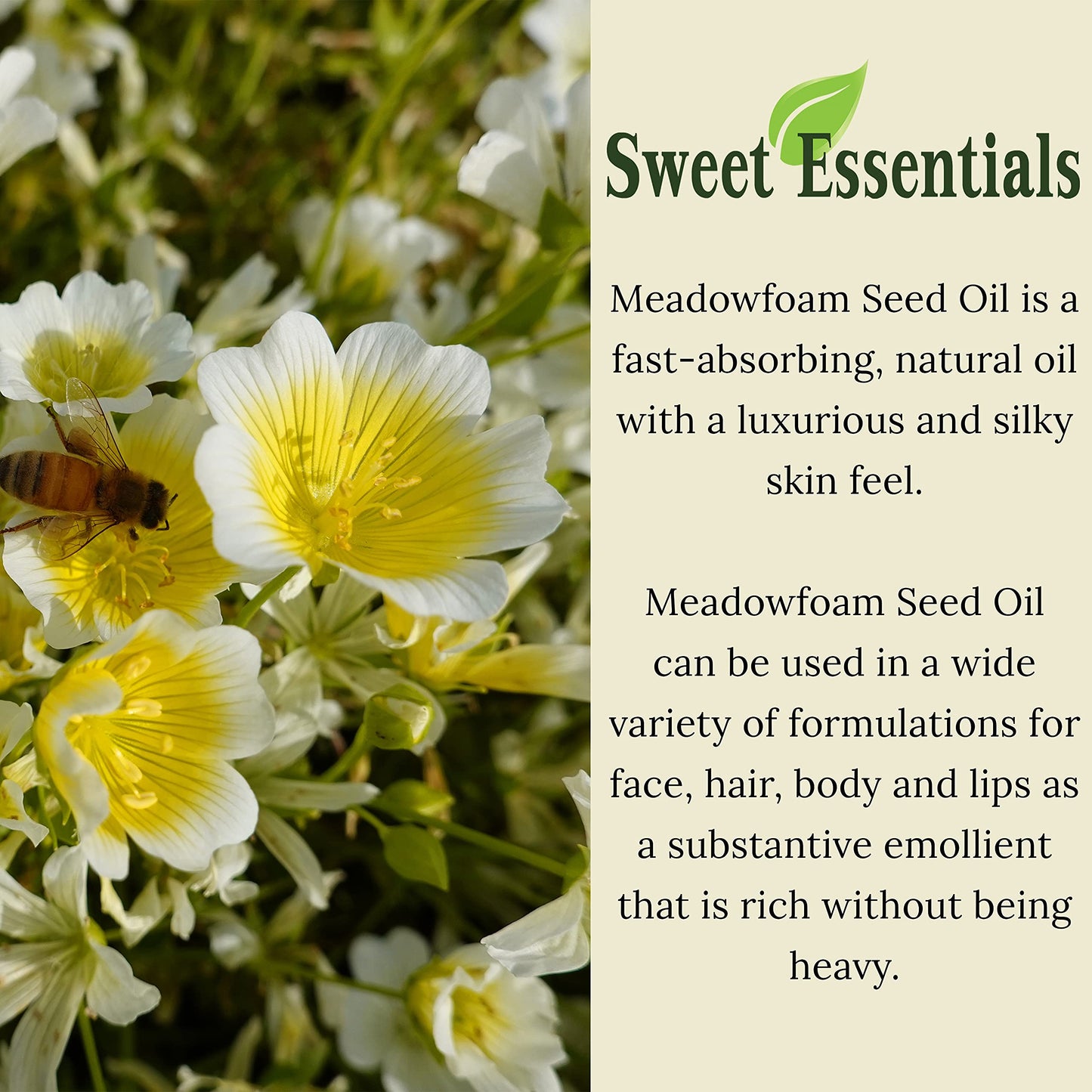 Pure cold pressed meadowfoam carrier oil for hair skin and nails packaging details