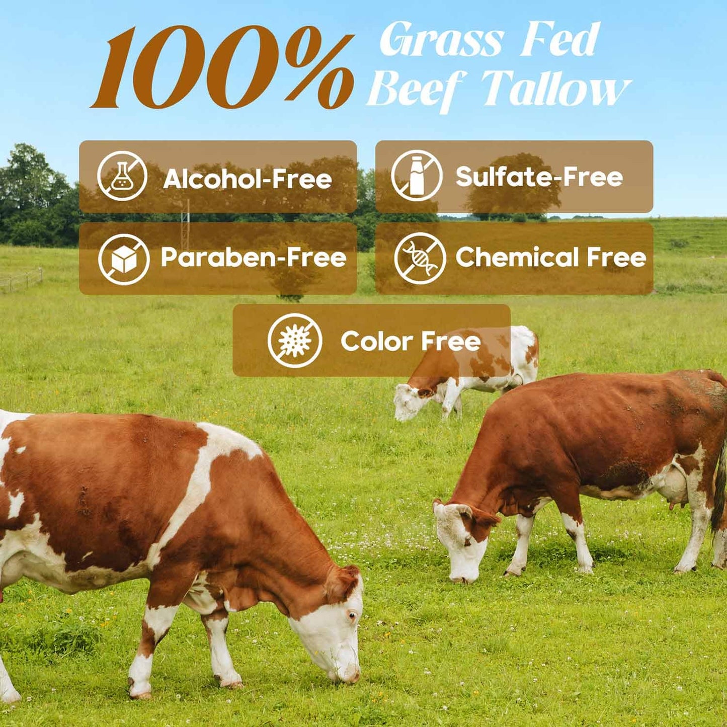 Close up of Hicream beef tallow balm for sensitive skin