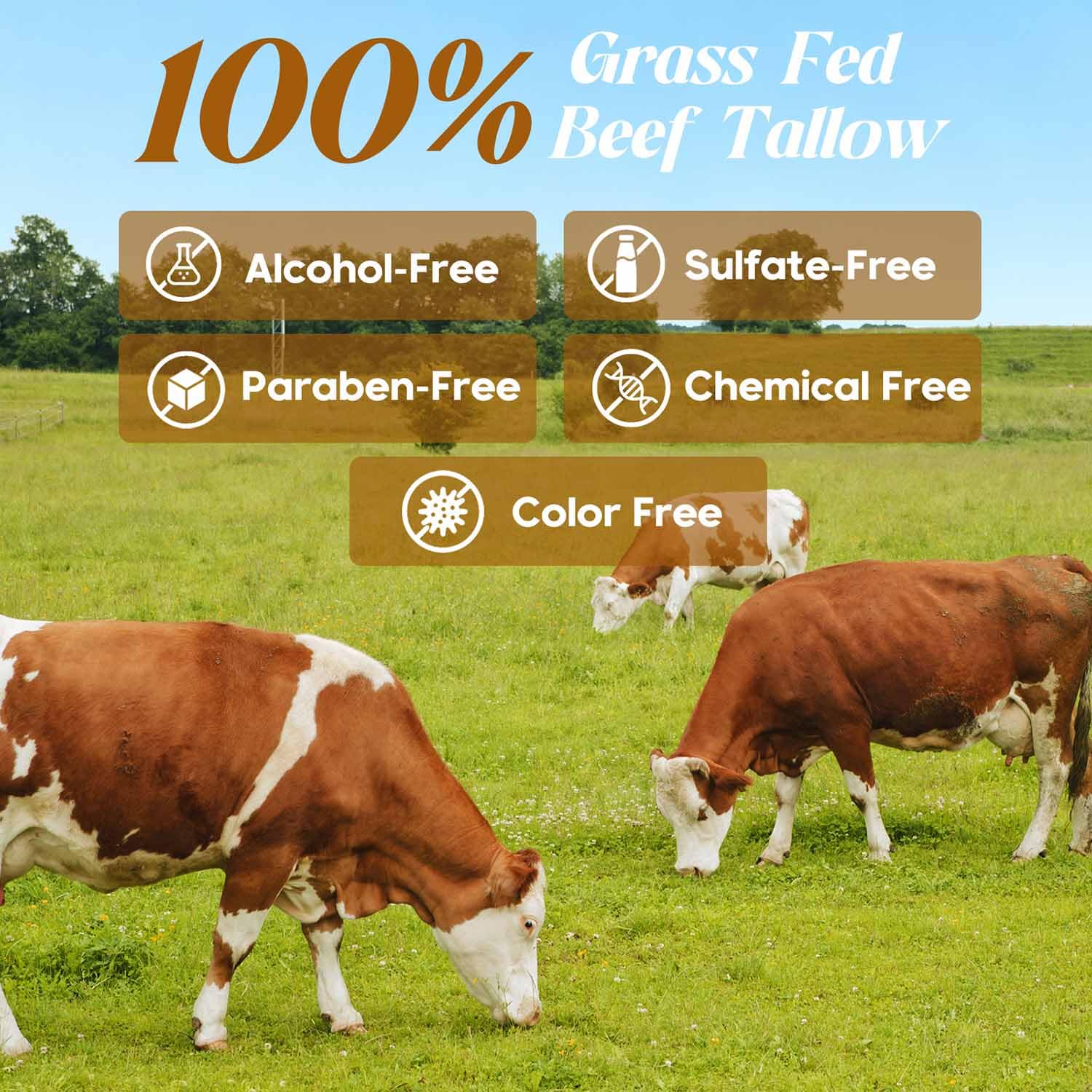 Close up of Hicream beef tallow balm for sensitive skin