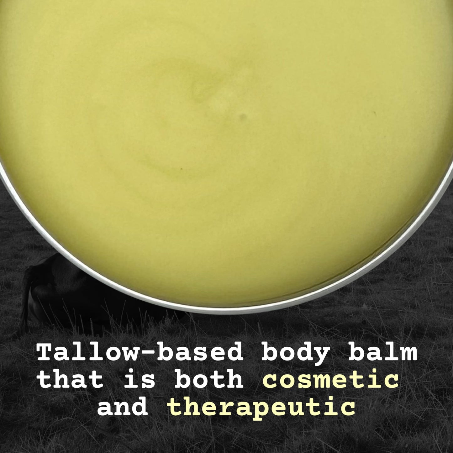 The Tallowed Truth F-Balm jar held in hand for scale