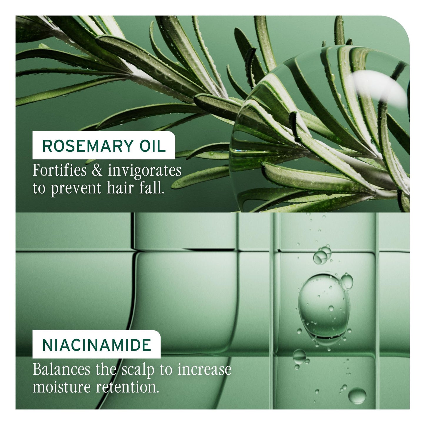 Back label of Biolage Full Rescue Scalp Serum showing ingredients
