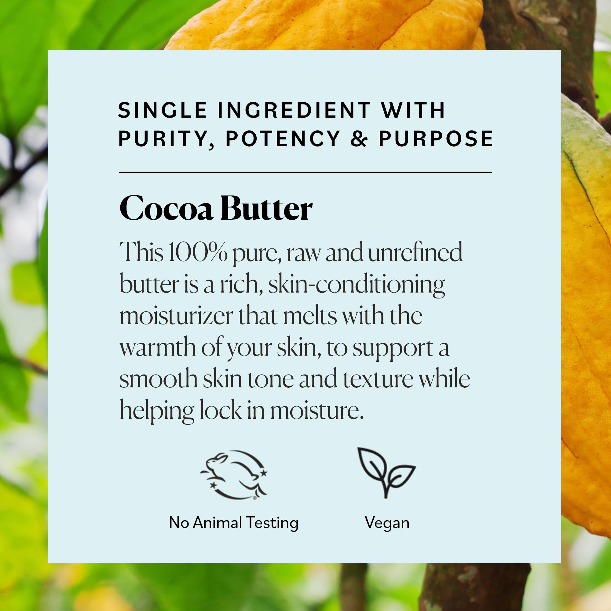 Hand applying raw cocoa butter to demonstrate melting texture
