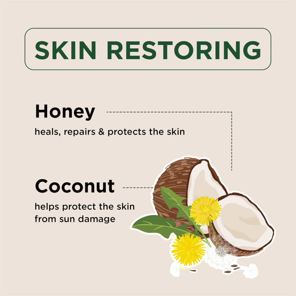 Petal Fresh body butter jar with honey and coconut ingredients illustration